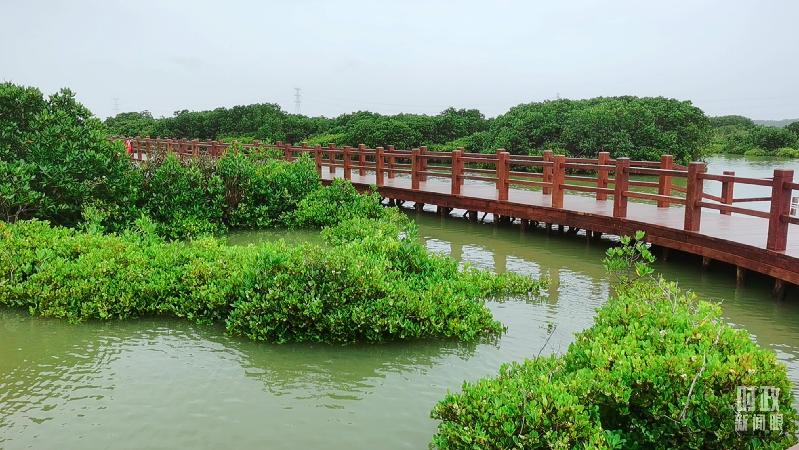 时政新闻眼丨习近平赴湛江考察,承载哪些战略考量? 时政新闻眼丨习近平赴湛江考察,承载哪些战略考量?